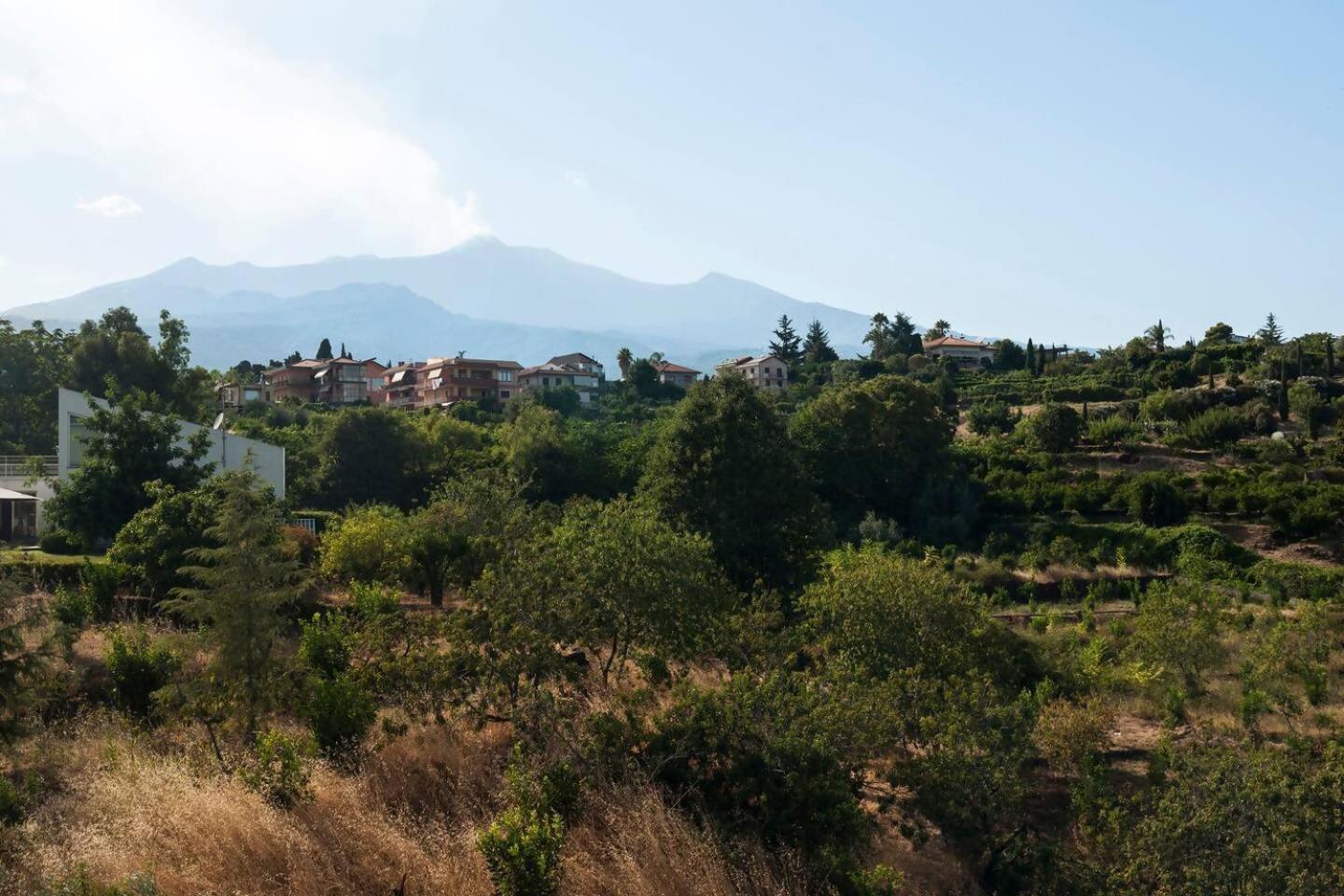Villa Ginevra Санта-Венеріна Екстер'єр фото